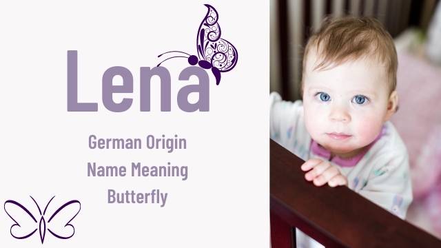 Lena- butterfly baby name in english