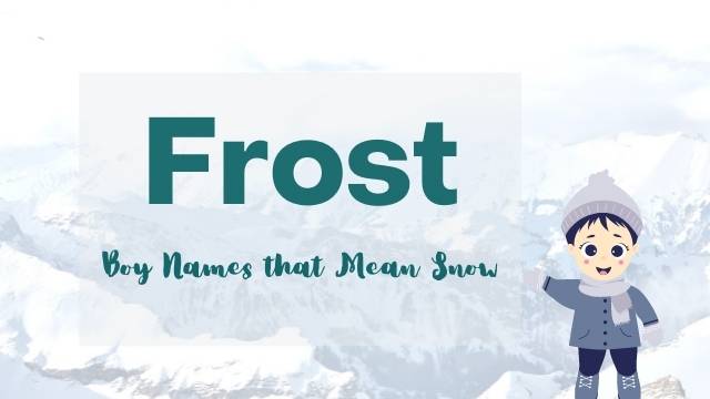 frost-image