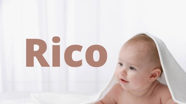 Baby Names that Mean Brave - rico