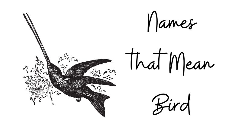 girl bird names that mean