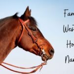 Famous Western Horse Names