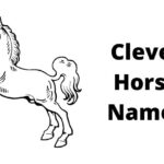 clever horse names