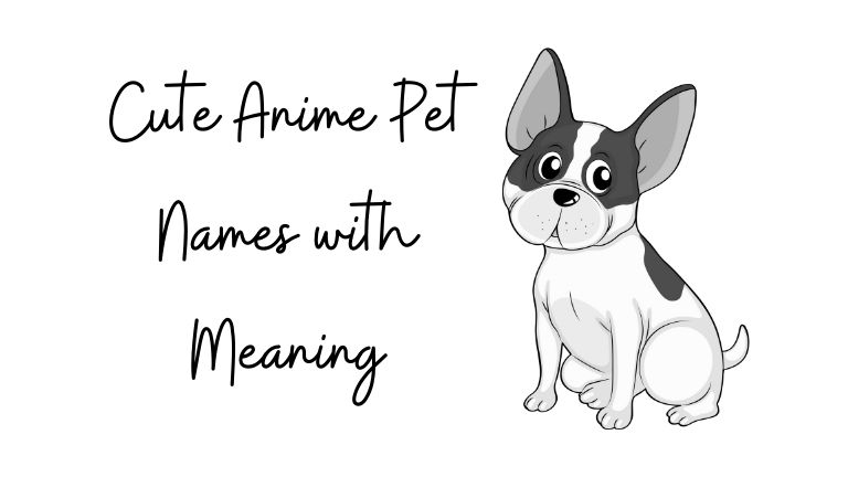 Top 60+ Cute Anime Pet Names with Meaning | My Name Guide