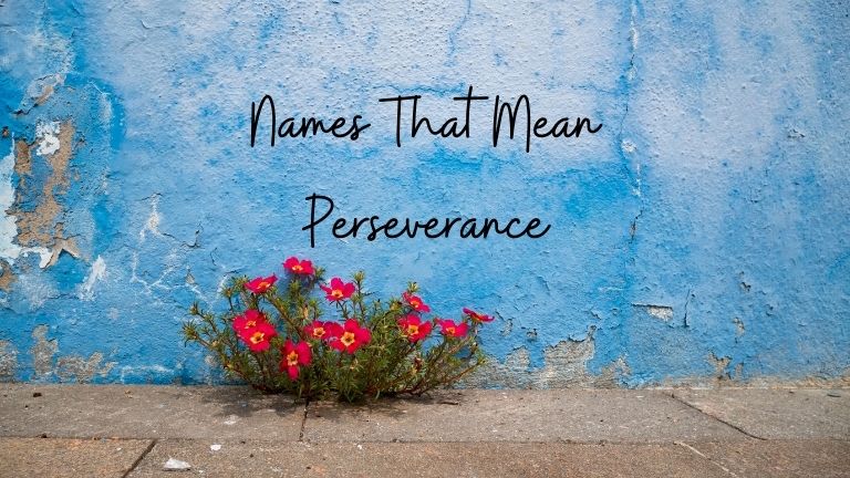 Names That Mean Perseverance 2