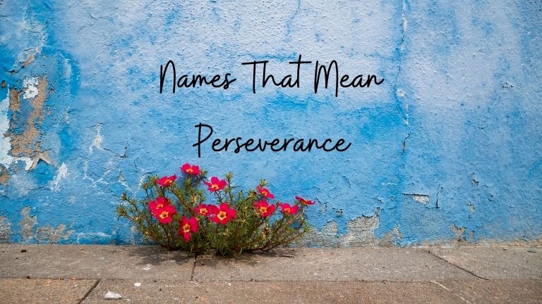 Names That Mean Perseverance