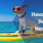 Hawaiian Dog Names