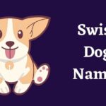 swiss dog names